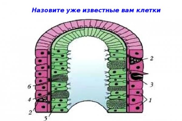 Кракен актуальное зеркало 2kmp